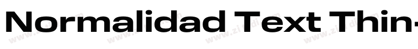 Normalidad Text Thin字体转换